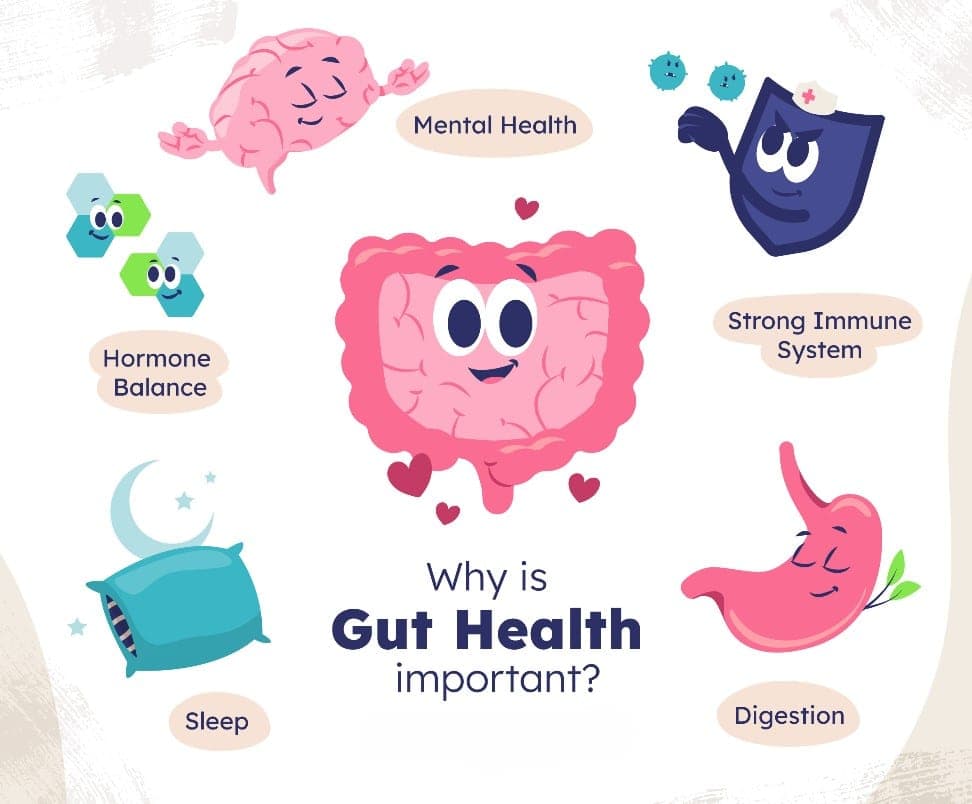 Gut health